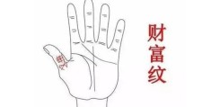 七种手相暗示着大富大贵