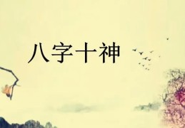 盲派八字十神论命金口诀