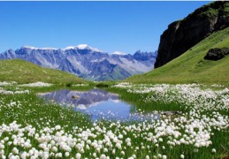 八字神煞文昌贵人是什么意思