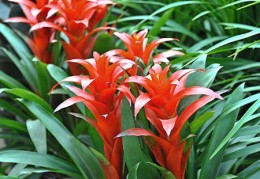 ​客厅阳台如何布局风水好