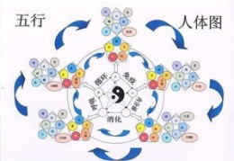 五行缺木如何化解（五行木弱的人怎么化解）