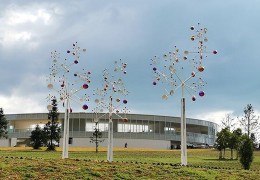 气场强的人八字有何特征