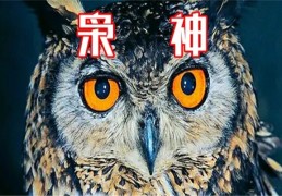 ​八字枭神的人性格有何特点