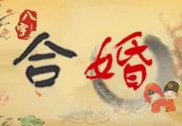 男女八字合婚主要看什么