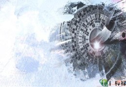 八字课程学术内容