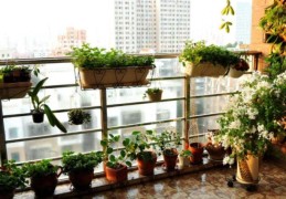 阳台风水的布局讲究