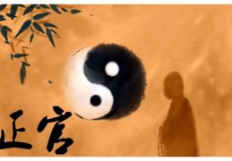 八字正官伤官同为喜用（正官伤官同柱,算伤官见官吗）