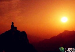 六爻论墓库详解大全