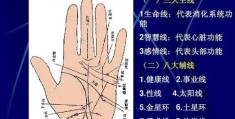 手相看自己健康运