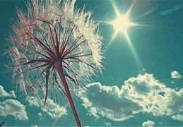 八字格局的分类有哪些