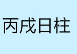 八字日柱丙戌男人命好吗