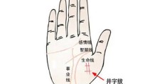 手相井字纹代表什么