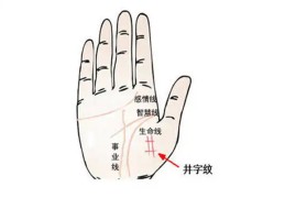 手相井字纹代表什么