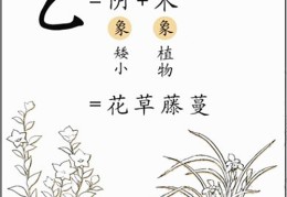 八字基础知识：十天干、乙木