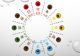 十二地支所代表的五行
