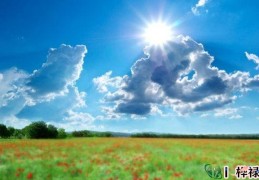 丙火日元生于各月