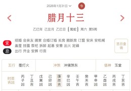 2026年1月31日每日五行穿衣指数解读搭配