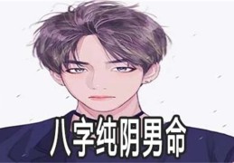 纯阴八字男命好吗