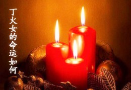 谋略高的八字（谋略高的八字特征）