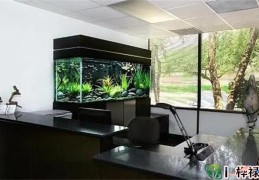 办公室鱼缸风水布局