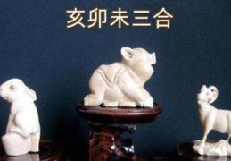 亥卯未三合木局代表什么