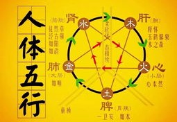 四柱配偶长相详批