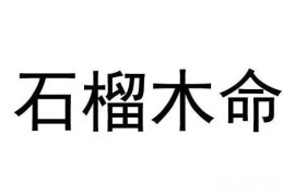 纳音石榴木命是什么意思