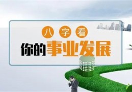 八字看事业浅析技巧（八字看事业怎么看）