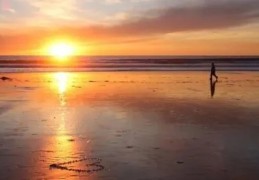 ​十二地支午火组合解读