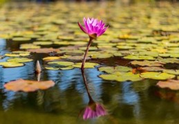 怎么分析八字组合好坏