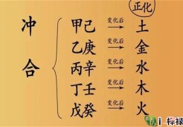 八字天干相合的种类