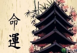 八字算命基本步骤