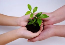 八字食神格局组合案例