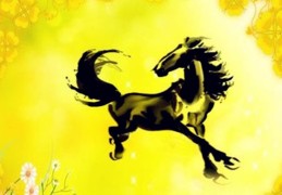 八字的马星是怎么算出来