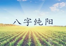 八字纯阳之人的命理特征，纯阳的八字是天命之人吗