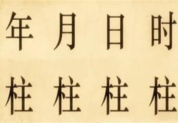八字中蕴含的信息与含义