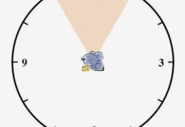 ​子时属于前一天还是后一天