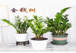 测测你有没有官运