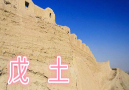 戊土日元的男人命运如何