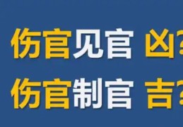 伤官制官的八字好吗