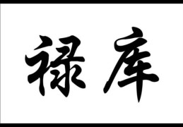 ​八字神煞禄库什么意思