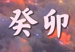 八字是癸卯日柱的人命好吗