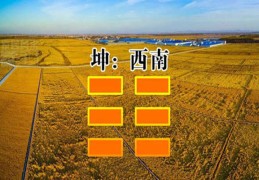 歌唱家的八字特征