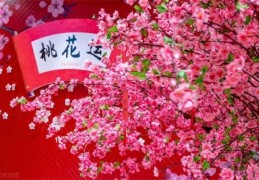 八字测你何时有桃花运（八字测你何时有桃花运呢）