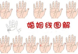 面相基础：手相婚姻线的看法