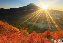 十天干丙火详解