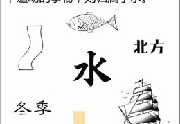 八字基础知识：五行、水