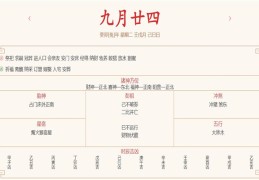 每日运势解读：2023年11月7日穿衣指数