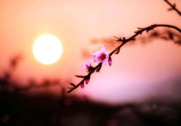 喜用神最正确的算法（免费查喜用神最正确的算法）