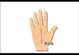 事业白手起家的手相